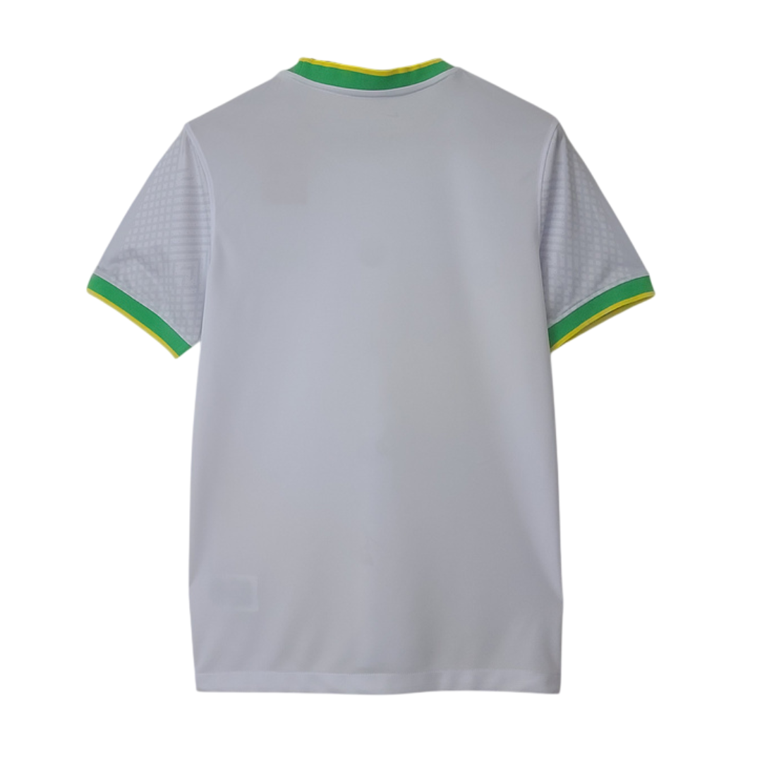 Camiseta Brasil Edición Especial 2022