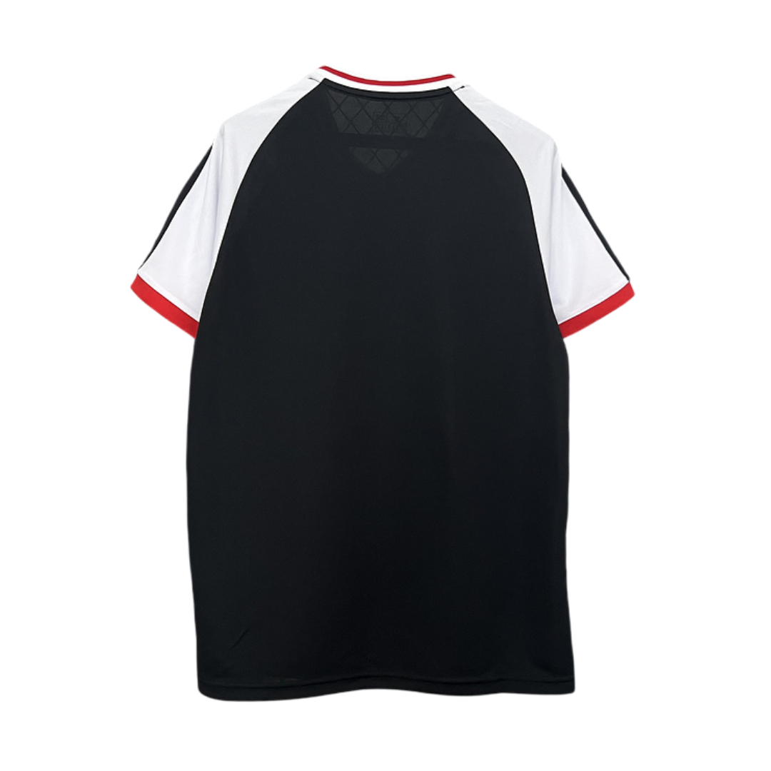 Camiseta Japón Edición Especial 2024