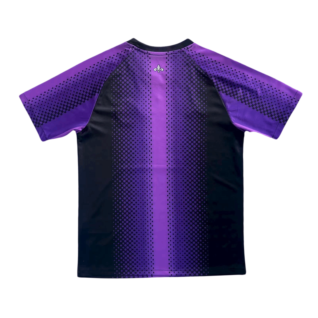 Camiseta Paris Saint-Germain PSG Edición Especial 2025/2026